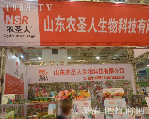 �rʥ��������2016����ֲ�����ו����@����