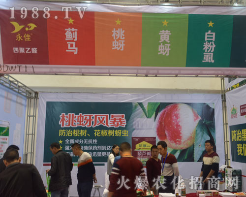 ��������sҫ��չ2016ɽ�|ֲ�����ו�