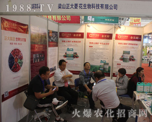 ��ɽ�����⻨�Y�G��2016�����ֲ������