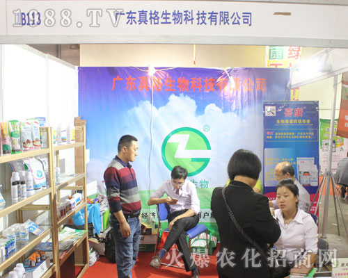 �V�|�������Ƽ���2016����ֲ�����ו��õ�ٝ�p