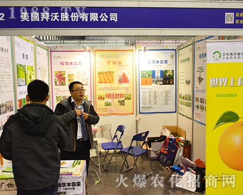 ����(gu��)���ֹɷ����޹�˾��ȭ����2016�Ͼ�ȫ��(gu��)ֲ����(hu��)