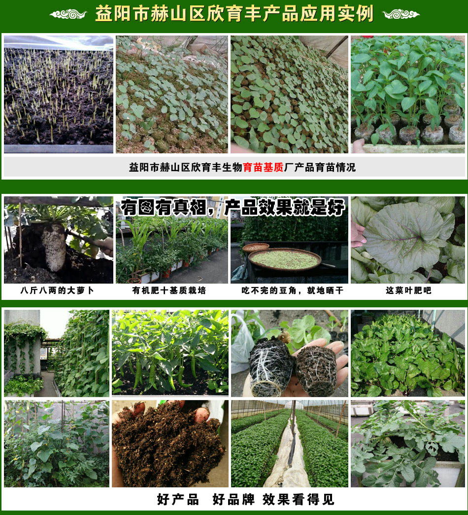 ����к�ɽ�^(q��)�����S����������|�S