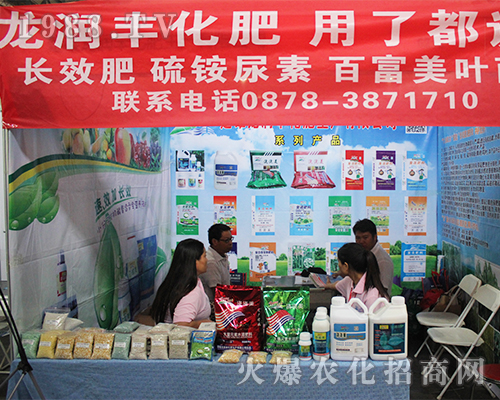 ���������S����