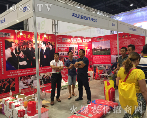 �ӱ���ȷʘI(y��)2017�ό��r(n��ng)�Y��(hu��)�c������(chu��ng)�x����