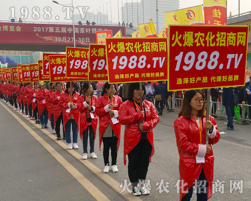 2017��ɽ�|ֲ�������r(n��ng)������Ч������