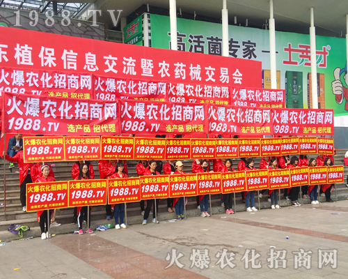 2017ɽ�|ʡֲ���������r(n��ng)�����̾W(w��ng)�ل�(chu��ng)�x��