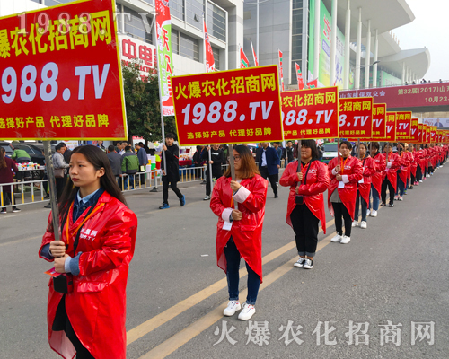 ��������(zh��n)����̤�������r(n��ng)���W(w��ng)����(zh��n)��23��ɽ�|ֲ����(hu��)