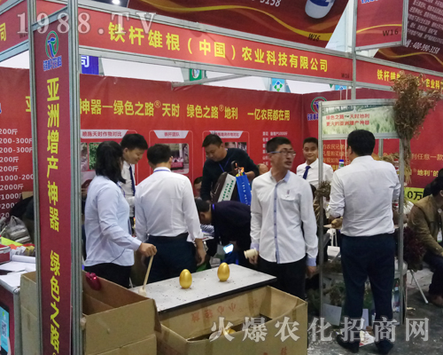 �F�U�۸���2017�����rˎ����������