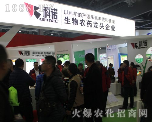 ��h���Z����ӵ�33���Ї�(gu��)ֲ���p����(hu��)