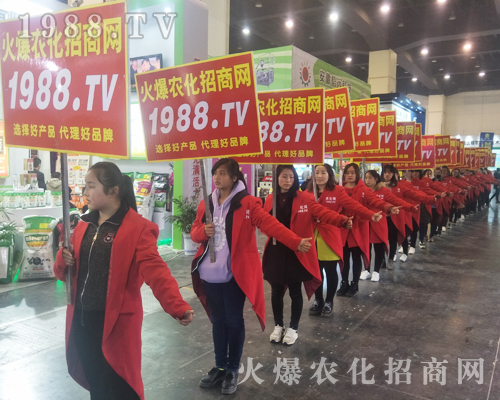 2017����Ϸ����p������1988.TV�����»���