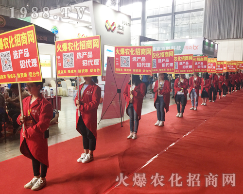 �o̎�����r(n��ng)���W(w��ng)���M�۱M�ǻ𱬼t��