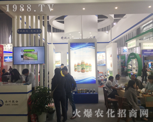 ���~�ɷ������ʮ�Č������r���[��