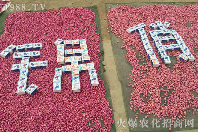 �Ϻ��Խ�r�I(y��)�Ƽ����޹�˾