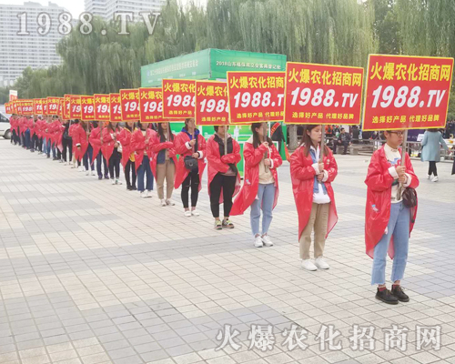     �R�������������2018��24��ɽ�|��(j��)��ֲ���p������