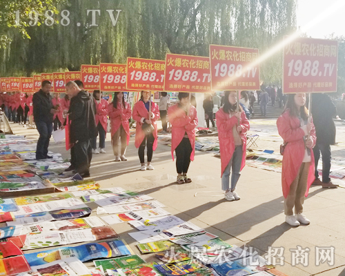 2018ɽ�|ֲ�����ו���1988.TV����***��