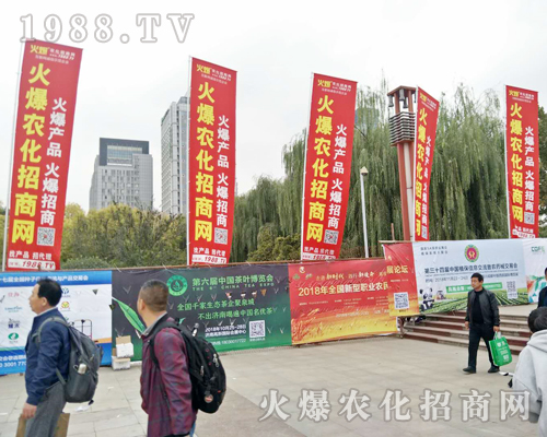 2018ɽ�|ֲ���p�����������r(n��ng)���W(w��ng)ȫ���������̹���