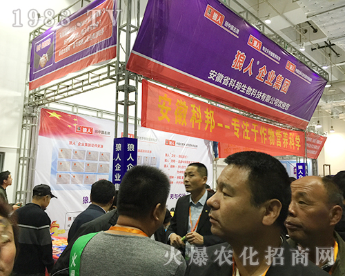 2018ɽ�|ֲ�����ו�