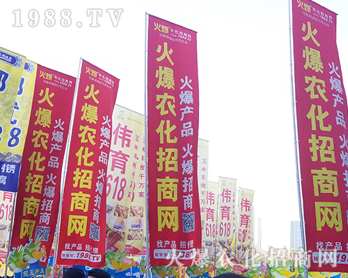 2018���������r(n��ng)ˎ����1988.TV����***��