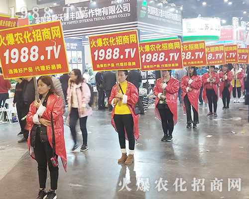     2018�����r(n��ng)ˎ�������r(n��ng)���W(w��ng)׌�fǧ�S�̳ɹ��_��(chu��ng)δ��