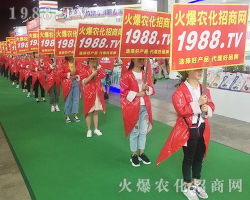 2018�����r(n��ng)�Y��(hu��)��1988.TV������������(sh��)���ɓ�