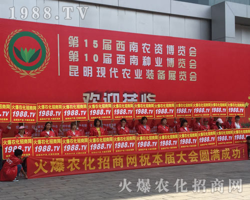 �o̎�����r���W(w��ng)���M�۱M�ǻ𱬼t��