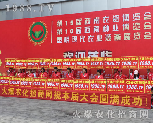 �o̎�����r(n��ng)���W(w��ng)���M�۱M�ǻ𱬼t��