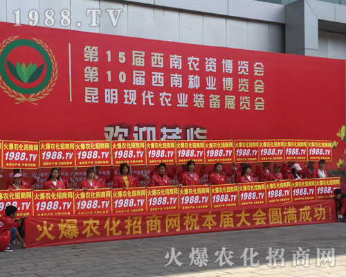 �o̎�����r(n��ng)���W(w��ng)���M�۱M�ǻ𱬼t��