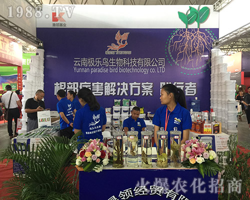 ���ϘO���B����Ƽ���2018�����r�Y���[���T������