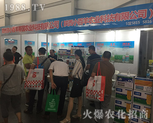 2018���������r(n��ng)�Y��(hu��)��������С���򾫲ʲ���