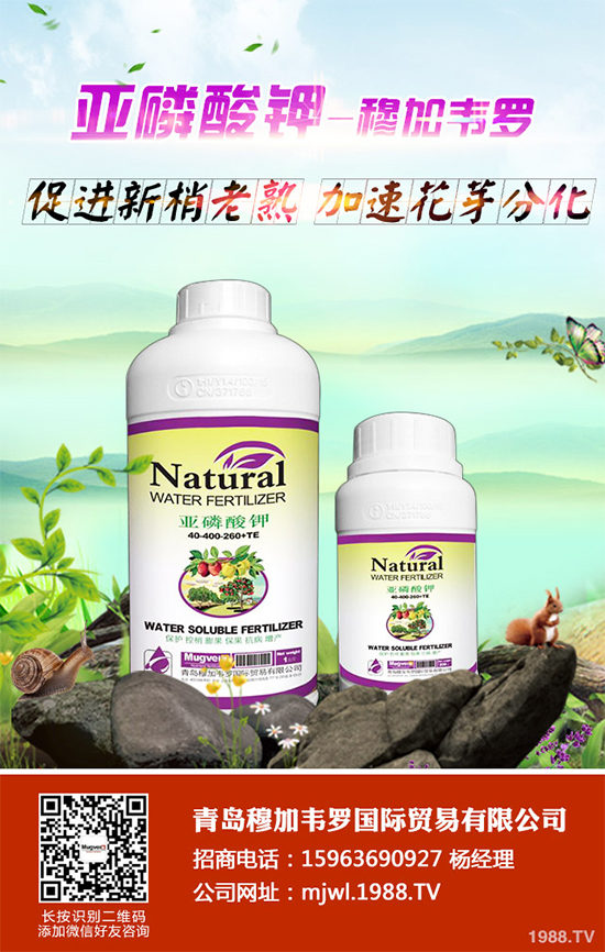 甘藍(lán)軟腐病有哪些癥狀表現(xiàn)？是如何發(fā)生的？甘藍(lán)軟腐病預(yù)防措施