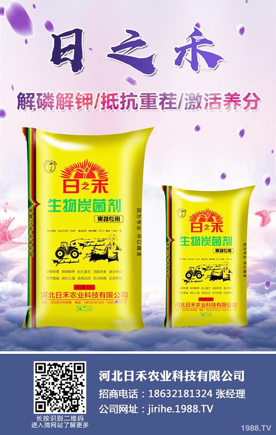 2019小麥什么時候種植，小麥種植注意要點！