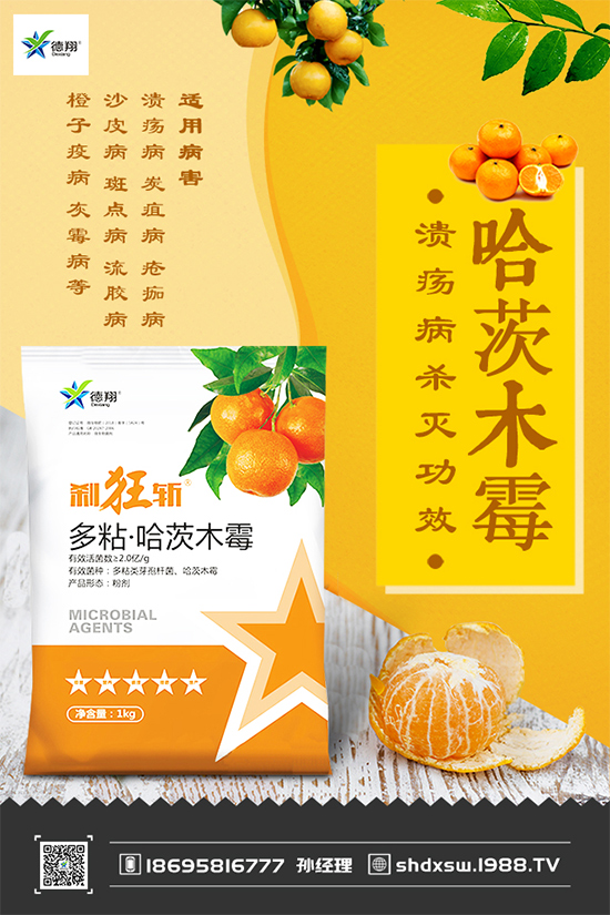 甘藍(lán)黑斑病危害這么大，到底該如何防治？快來看看吧！