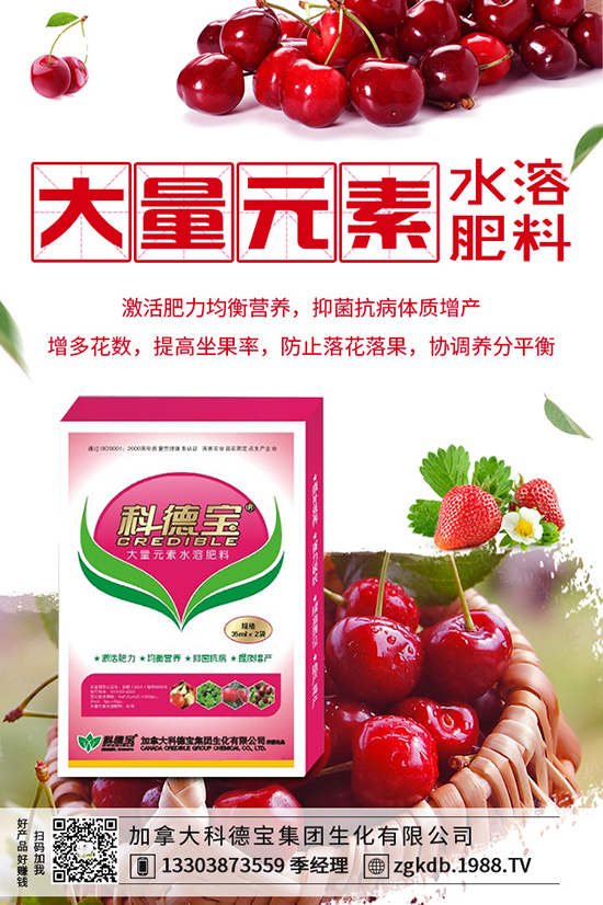 反季節(jié)種金針菇如何培育，反季節(jié)金針菇培育方法！