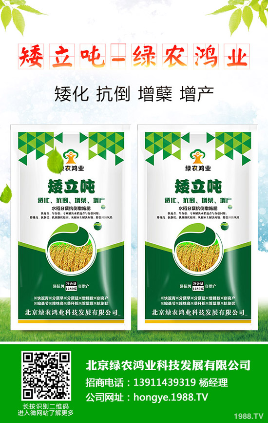 蒜苗的種植方法有哪些，如何才能獲得高產(chǎn)？