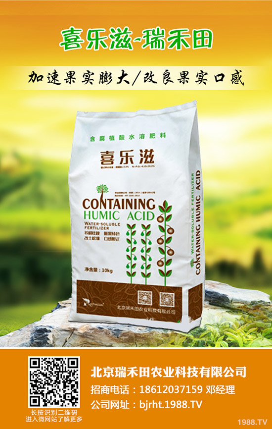 大蒜什么時候種植，大蒜種植方法是什么？