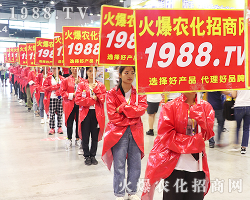     2019�Ϸ��r(n��ng)�Y���[���ϻ��r(n��ng)���W(w��ng)��Ӣ�ɳ�������(zh��n)����