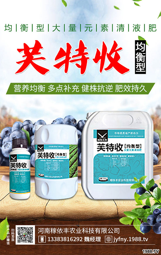 陽臺(tái)上能種植上海青嗎？該注意什么？陽臺(tái)上種植上海青的注意事項(xiàng)