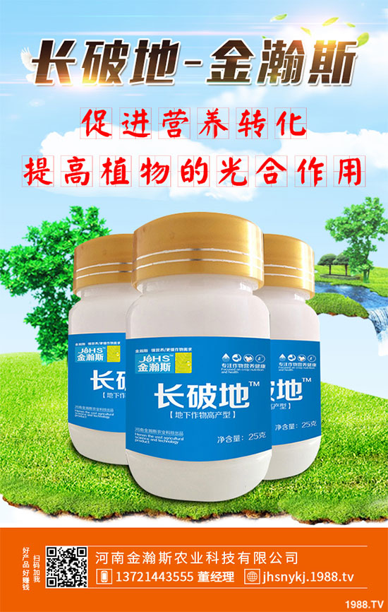 十月份蔬菜該怎么管理？2019年10月蔬菜種植管理指南