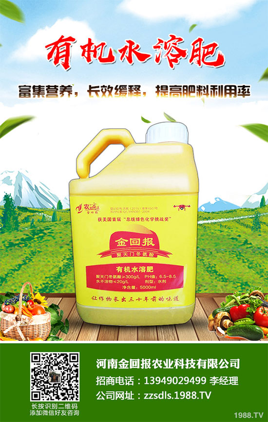 十月份蔬菜該怎么管理？2019年10月蔬菜種植管理指南