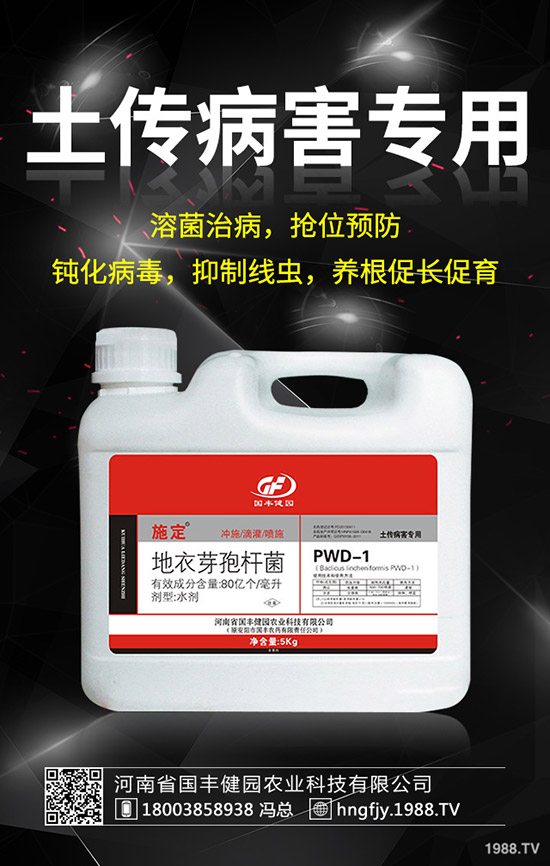 小麥除草劑什么時(shí)候打好，小麥打除草劑的時(shí)間及注意事項(xiàng)！