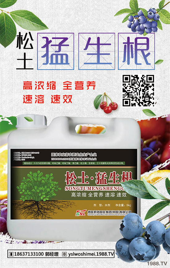 小麥苗期為什么死苗嚴(yán)重？小麥出苗期死苗咋補救？