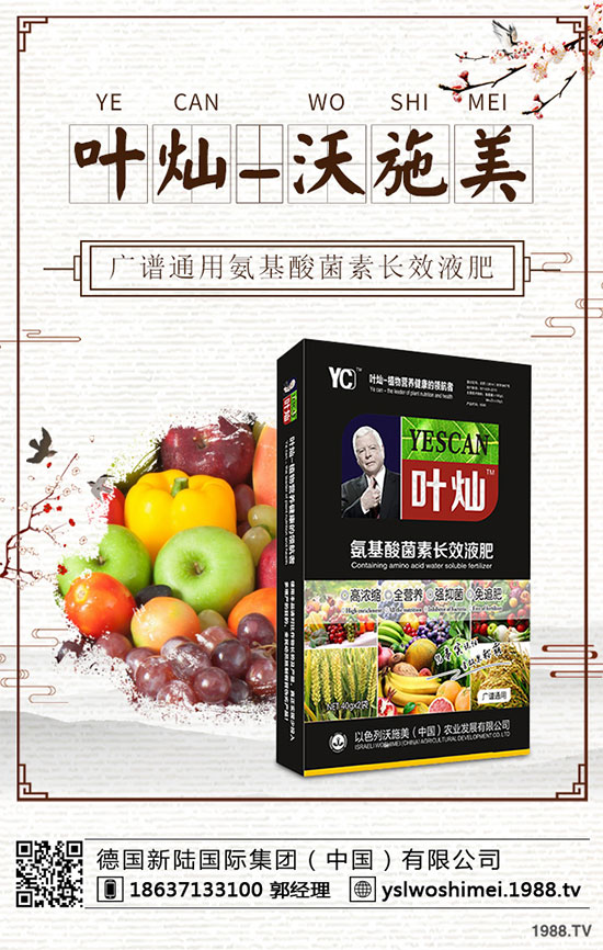 ��С����ʲô���F(xi��n)�S�������磿��С���S����������δ�ʩ��