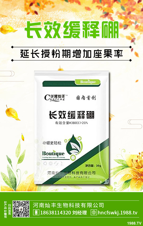 金錢(qián)草和銅錢(qián)草有什么不同？金錢(qián)草和銅錢(qián)草的區(qū)別哪些？