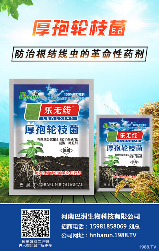 三角梅怎么養(yǎng)，三角梅的養(yǎng)殖方法和注意事項(xiàng)！