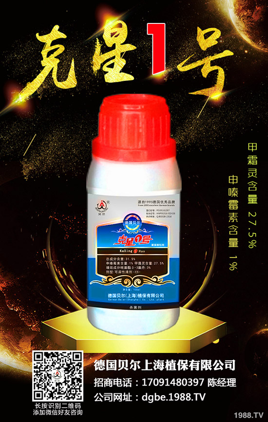 香椿種子怎么種，香椿種子的種植方法！