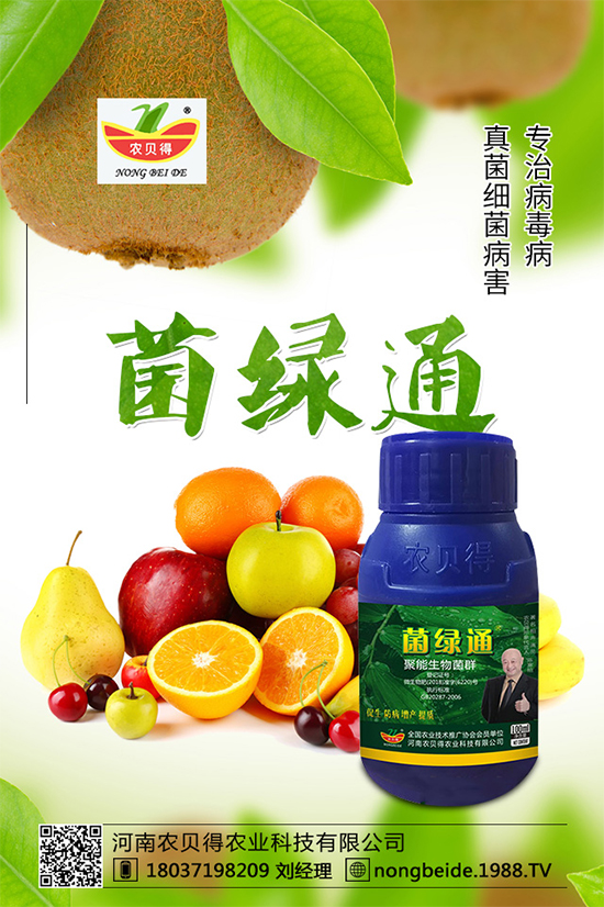 С��������_�x�N����֪������x�N�Ŀ��@����