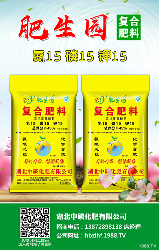 香菜如何施肥產(chǎn)量更高？秋茬香蔥高產(chǎn)施肥方案