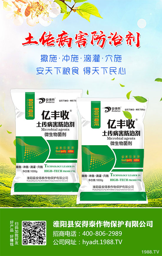 白蘿卜的功效與作用，白蘿卜營養(yǎng)價值！