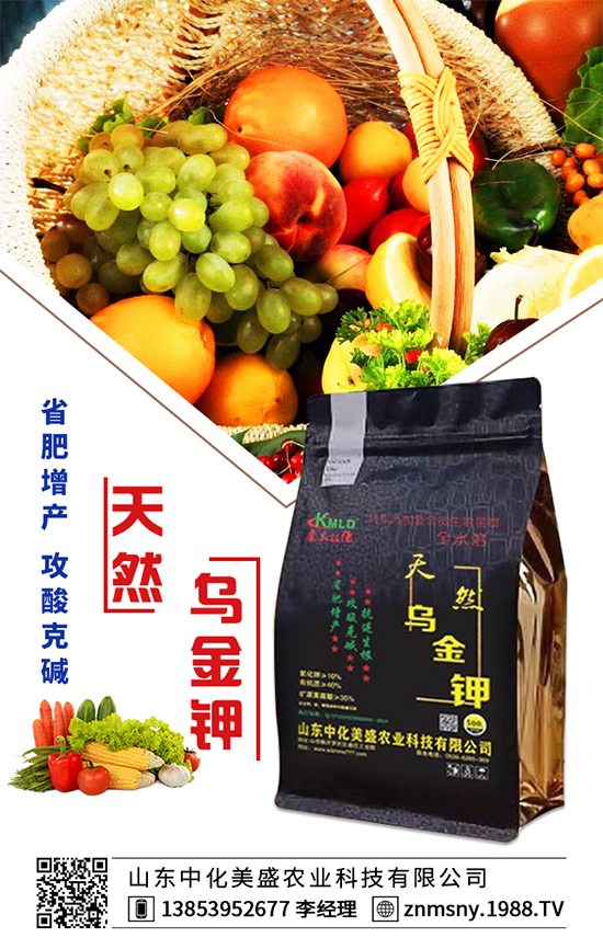 �۲˞�ʲô�����F(xi��n)���ģ��۲˿��ĵķ��δ�ʩ��