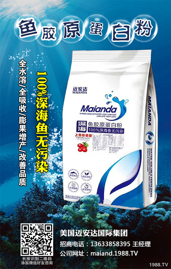 白菜病毒病危害巨大，到底該怎么辦？白菜病毒病及其防治圖譜